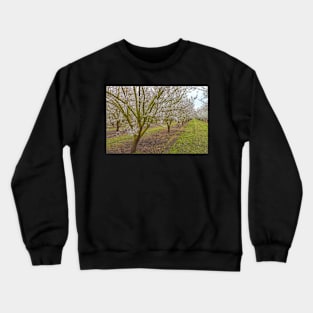 Almond Blossoms Crewneck Sweatshirt